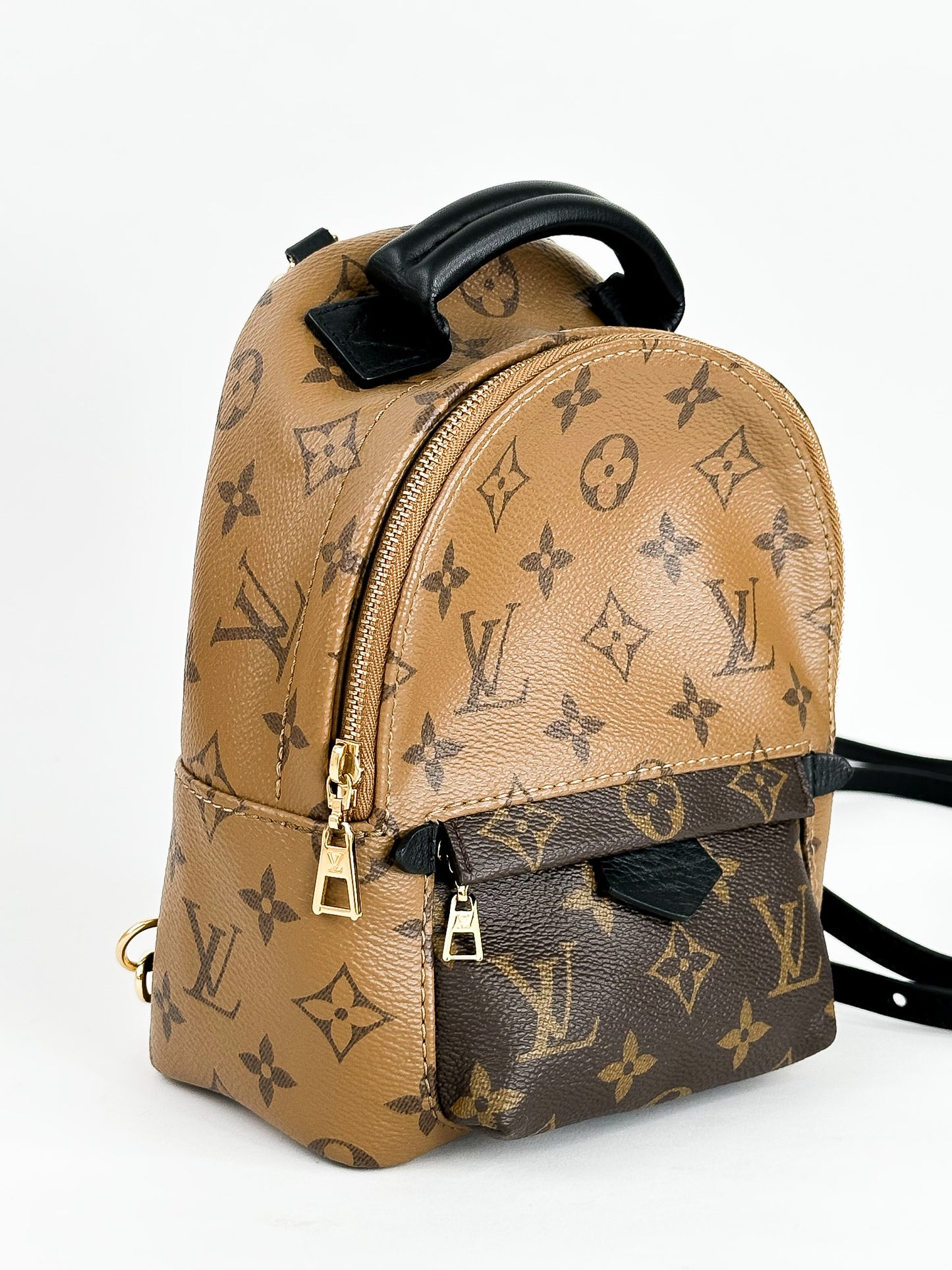 Louis Vuitton Palm Springs Mini Reverse Monogram