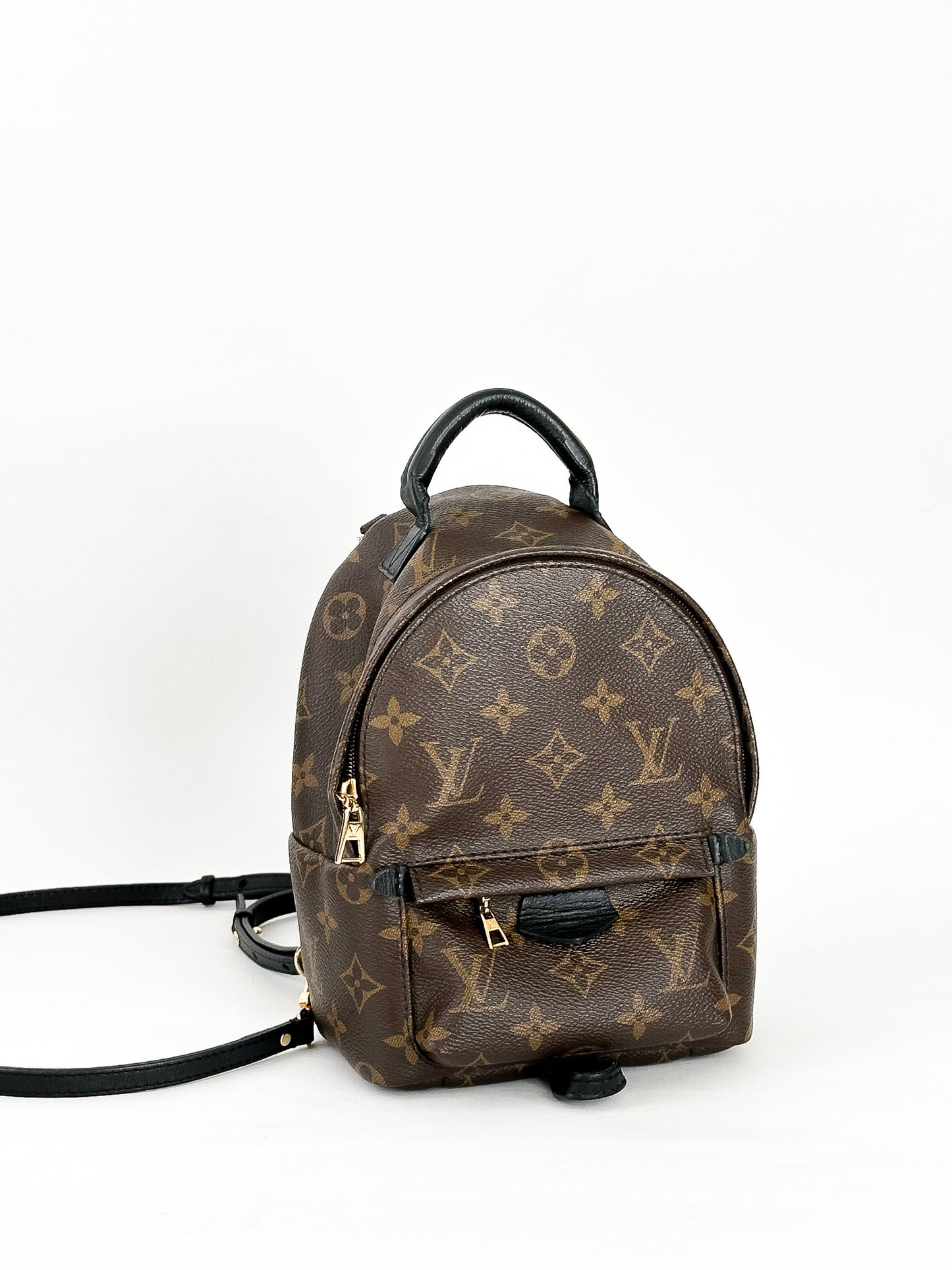 Louis Vuitton Palm Springs Mini Monogram