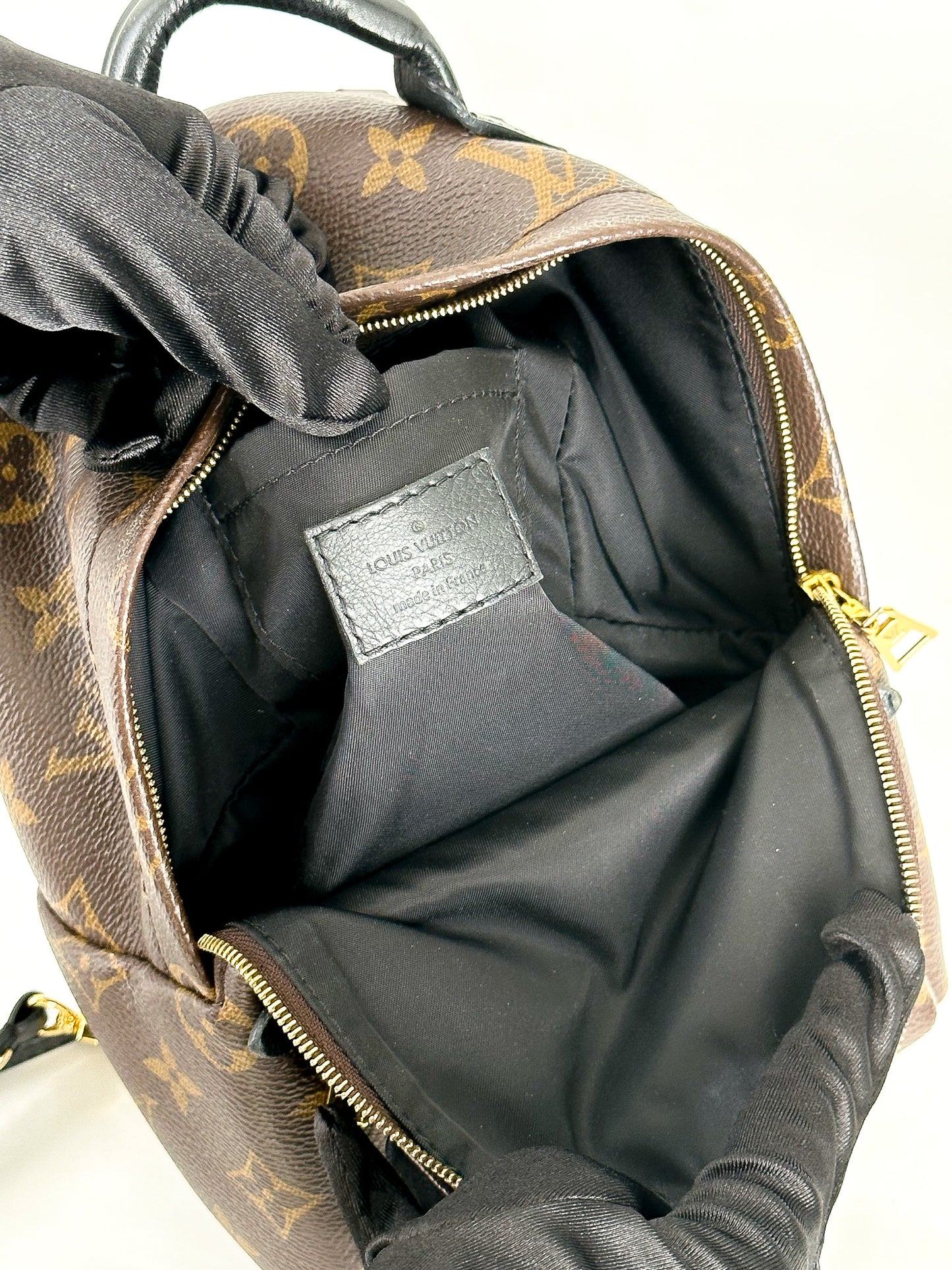 Louis Vuitton Palm Springs Mini Monogram