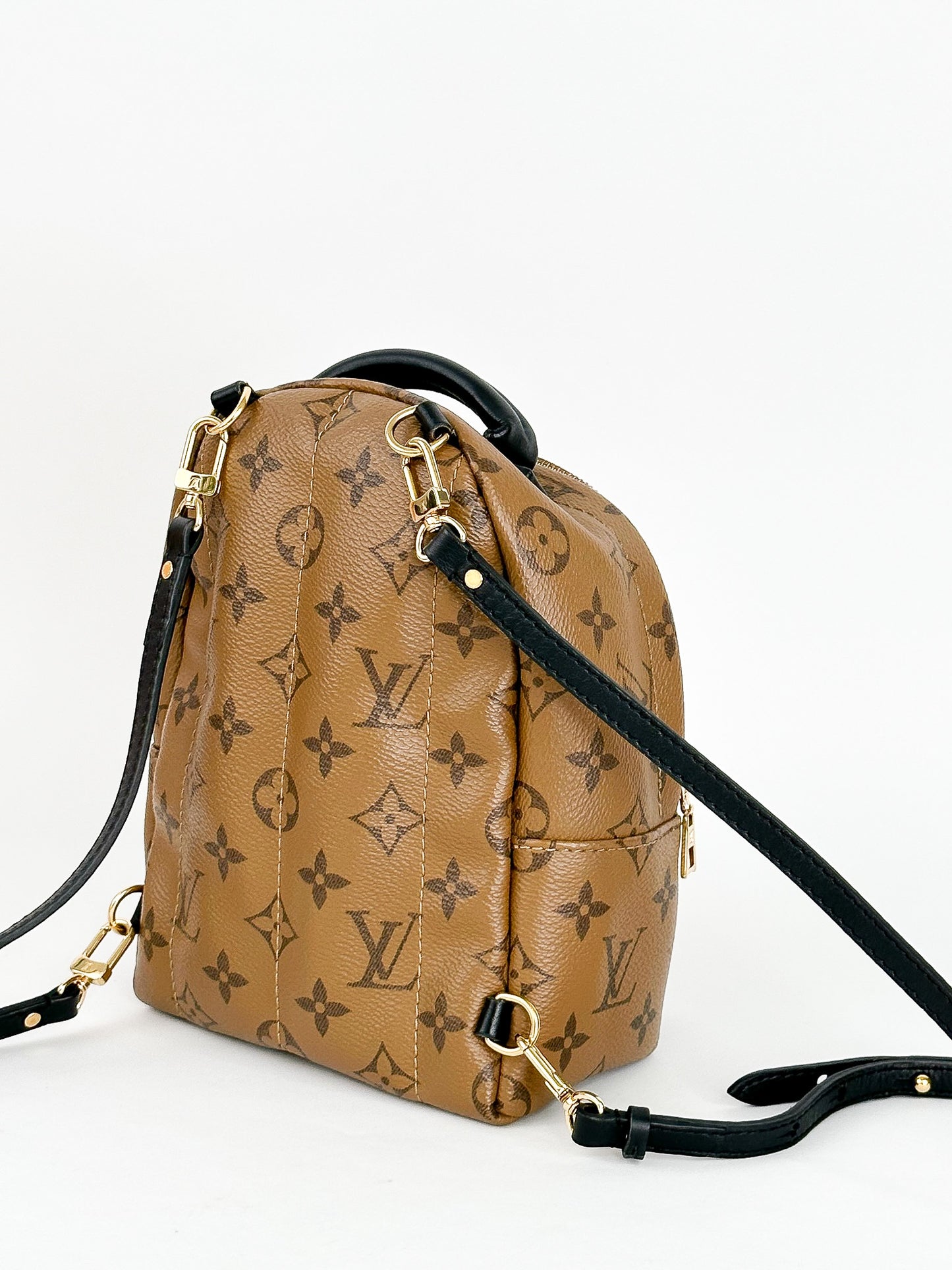 Louis Vuitton Palm Springs Mini Reverse Monogram