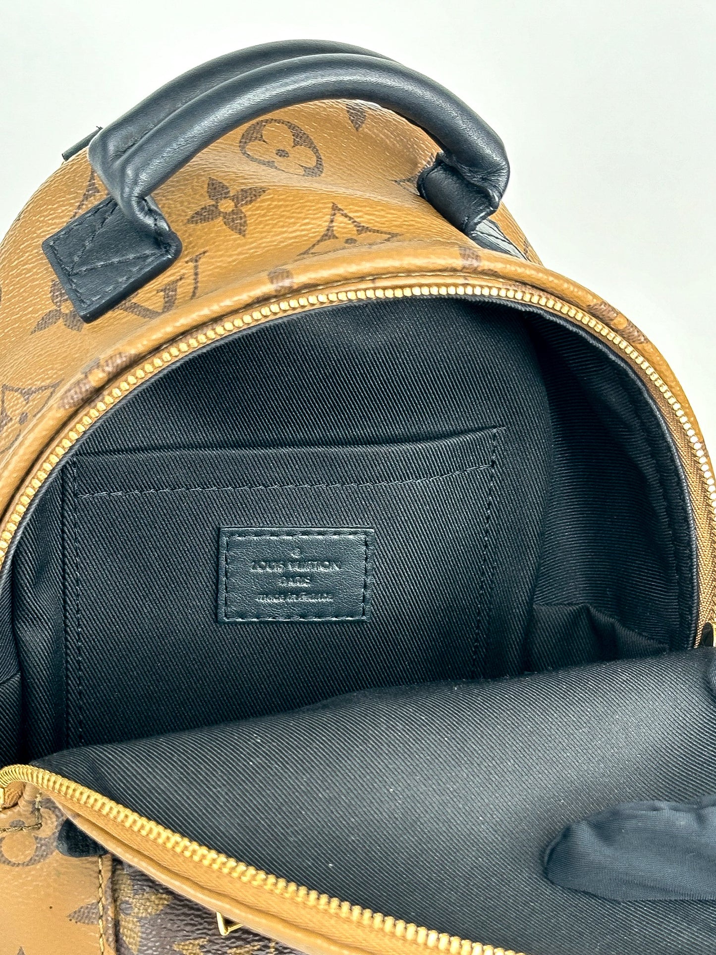 Louis Vuitton Palm Springs Mini Reverse Monogram