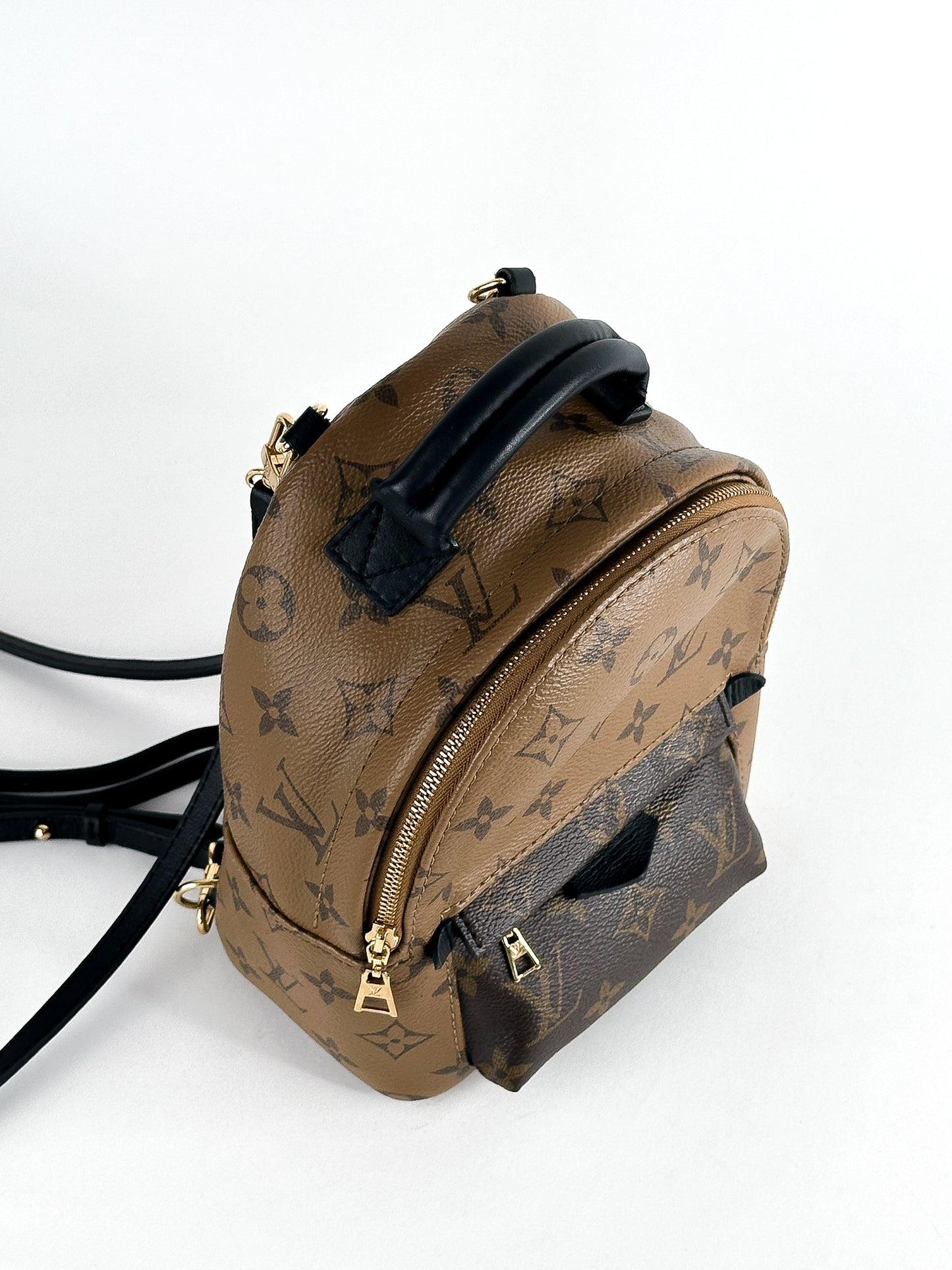 Louis Vuitton Palm Springs Mini Reverse Monogram