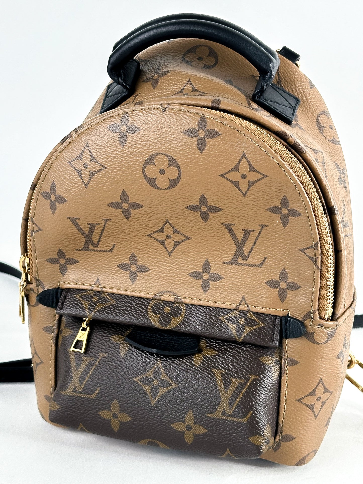Louis Vuitton Palm Springs Mini Reverse Monogram