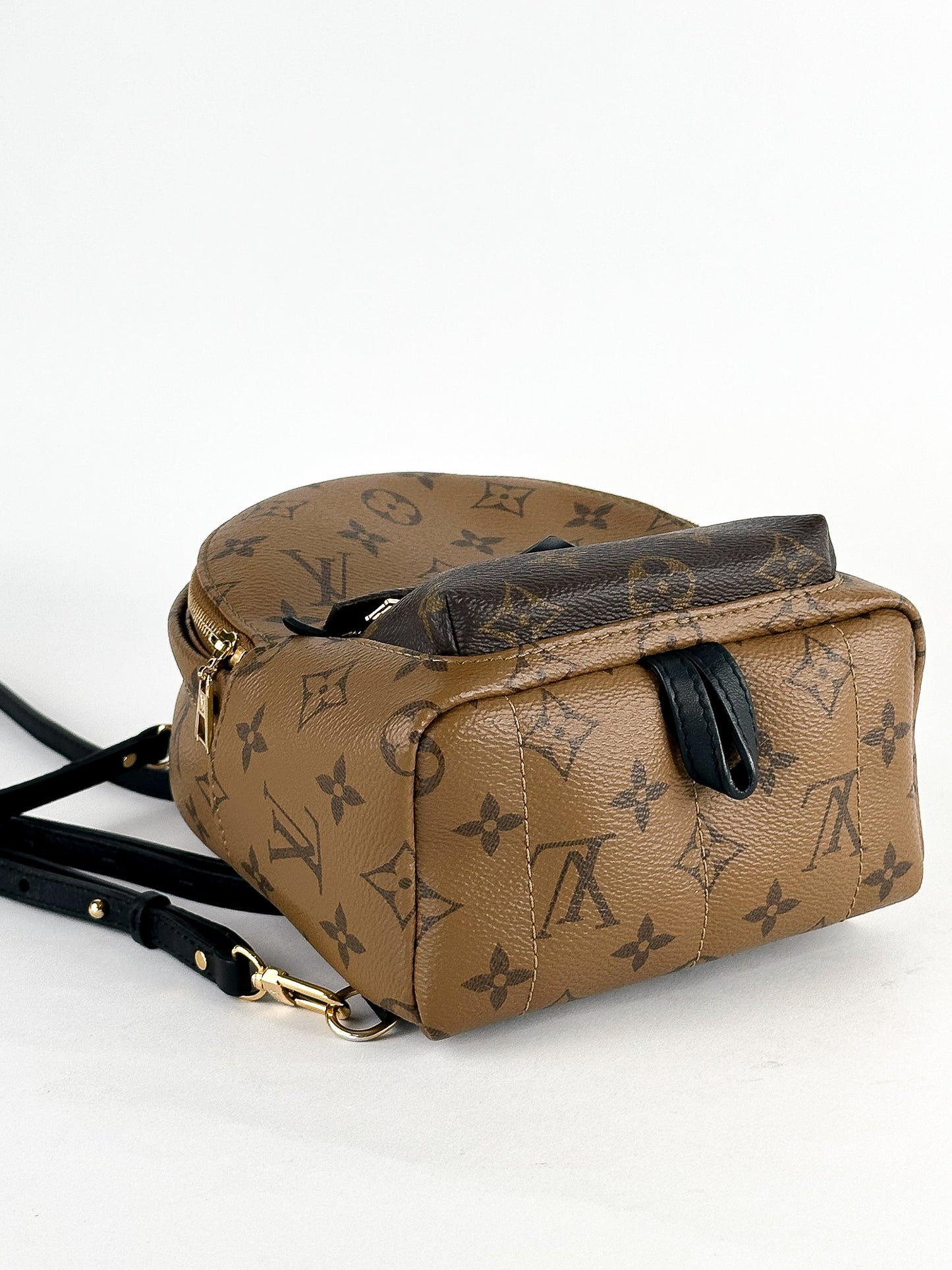 Louis Vuitton Palm Springs Mini Reverse Monogram