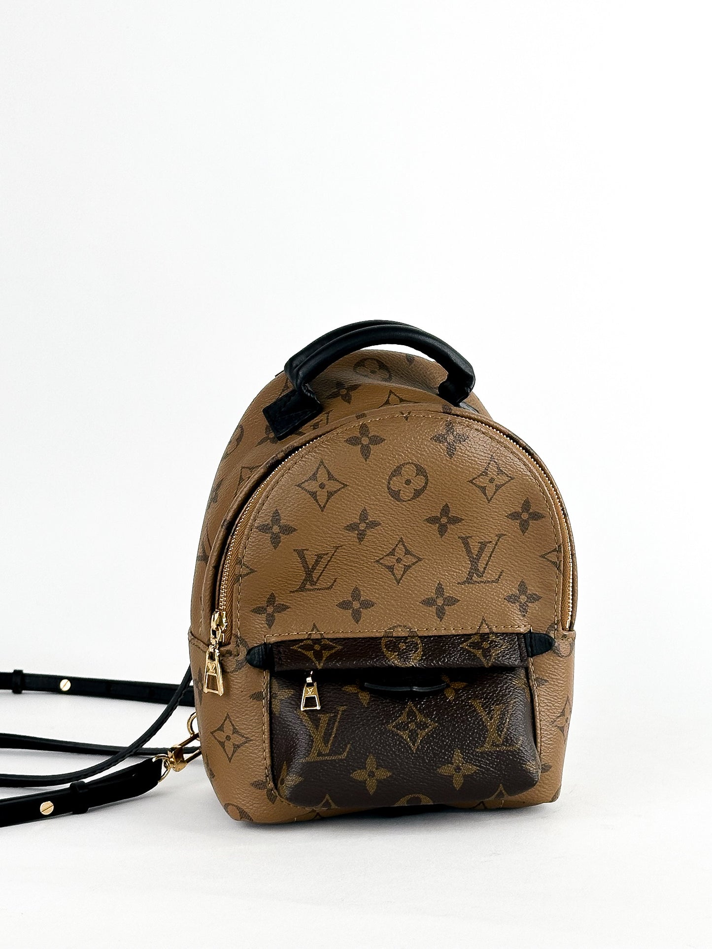 Louis Vuitton Palm Springs Mini Reverse Monogram
