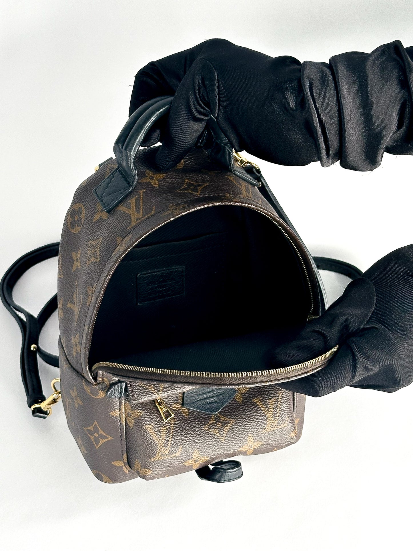 Louis Vuitton Palm Springs Mini Monogram