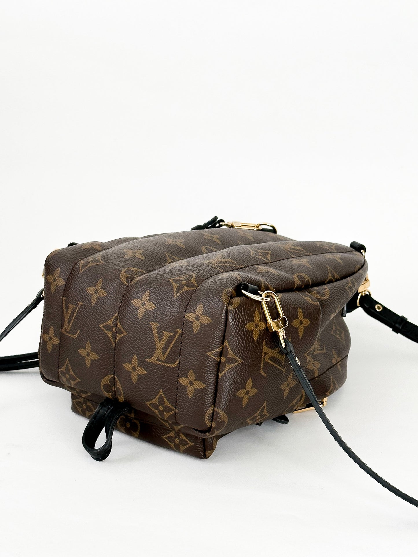 Louis Vuitton Palm Springs Mini Monogram