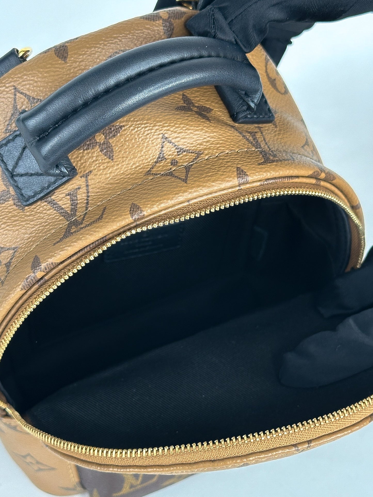 Louis Vuitton Palm Springs Mini Reverse Monogram