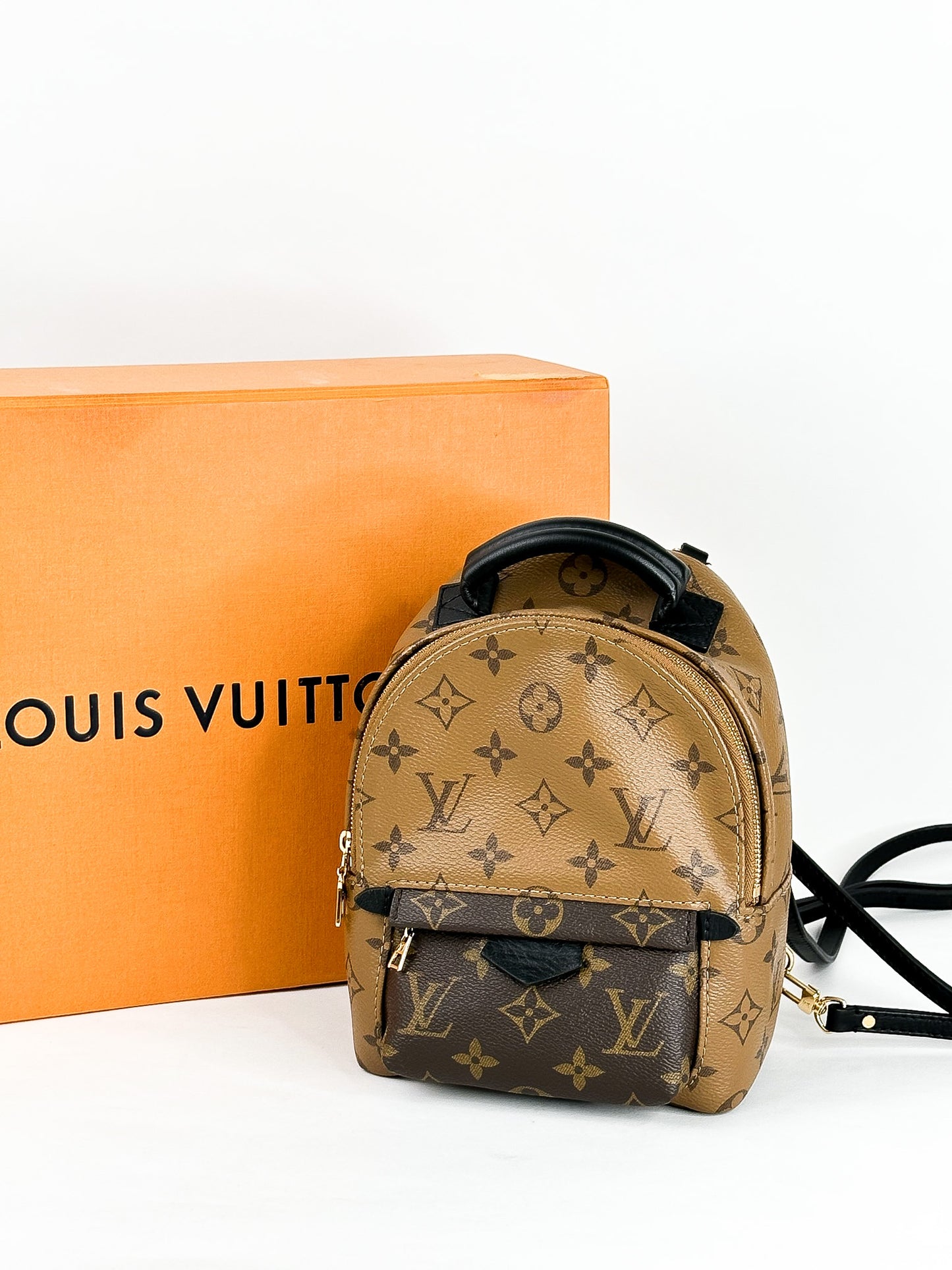 Louis Vuitton Palm Springs Mini Reverse Monogram