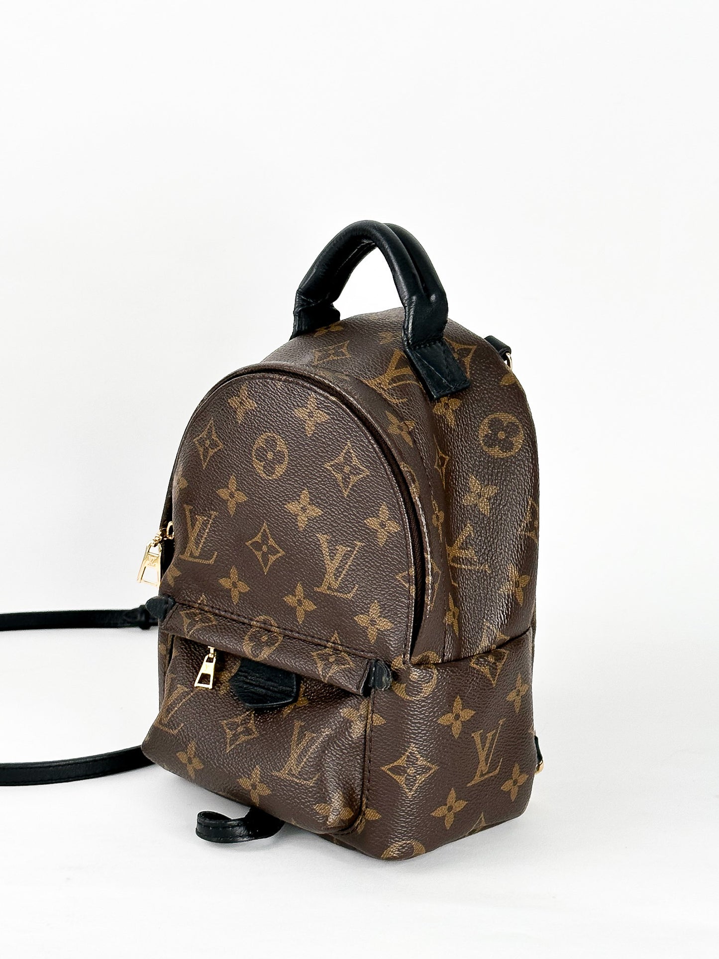 Louis Vuitton Palm Springs Mini Monogram