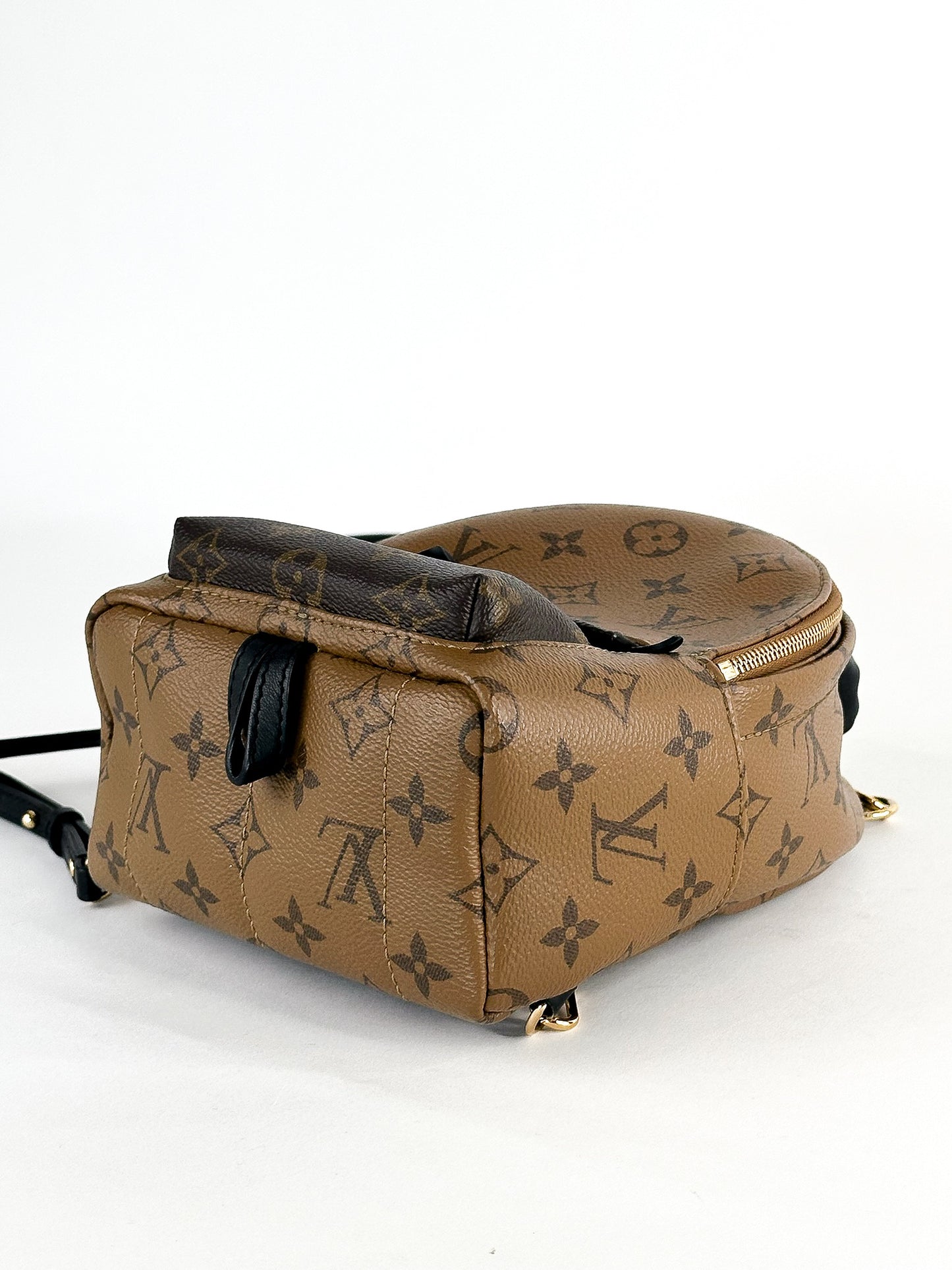 Louis Vuitton Palm Springs Mini Reverse Monogram