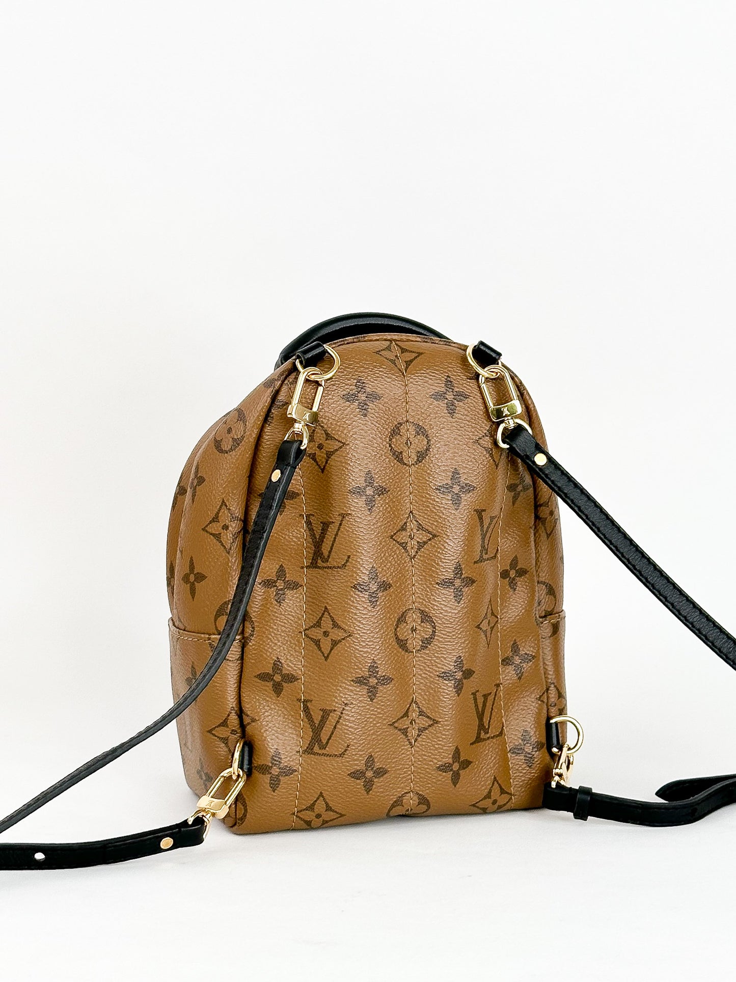 Louis Vuitton Palm Springs Mini Reverse Monogram