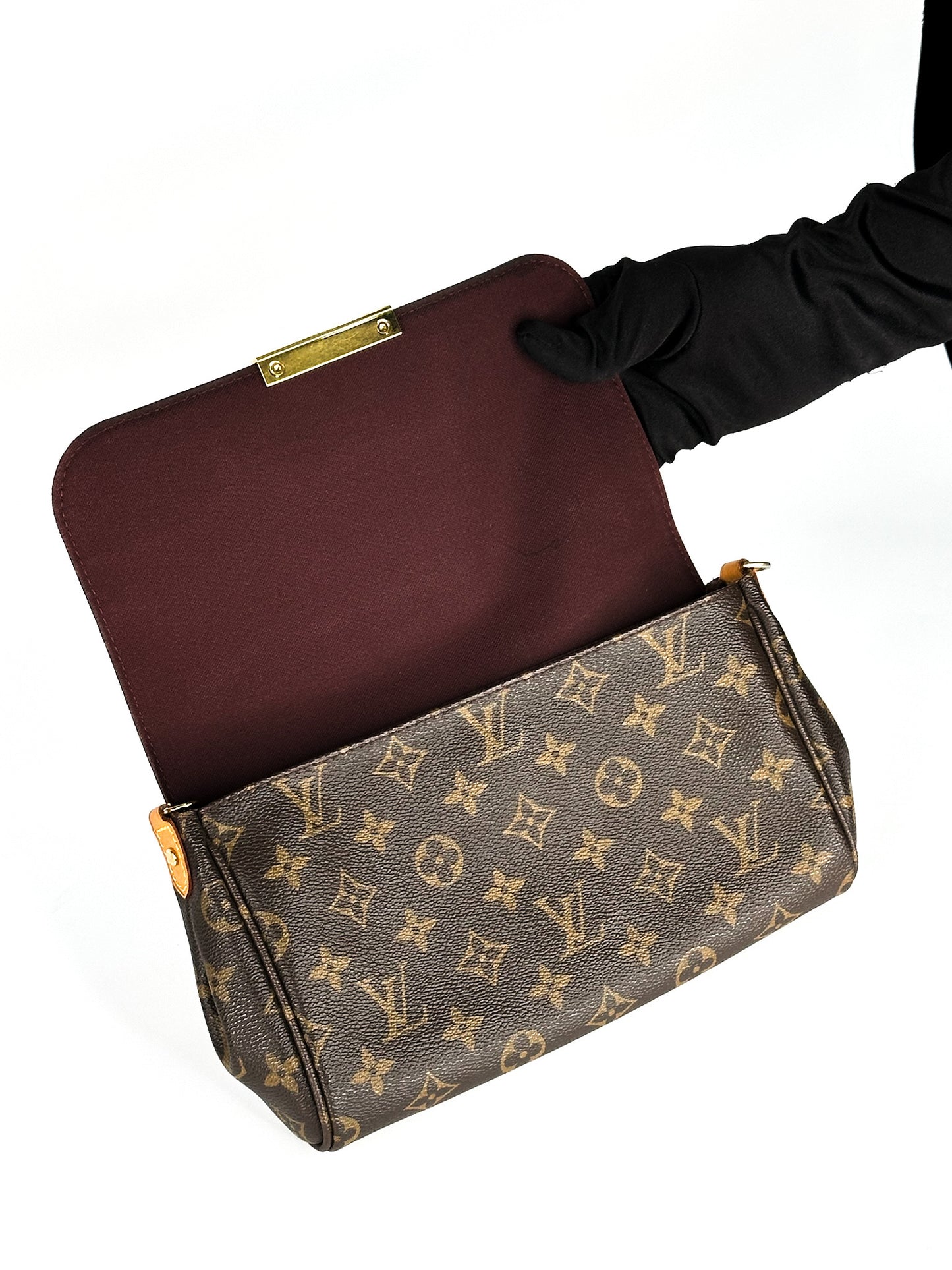 Louis Vuitton Monogram Canvas Favorite MM Bag