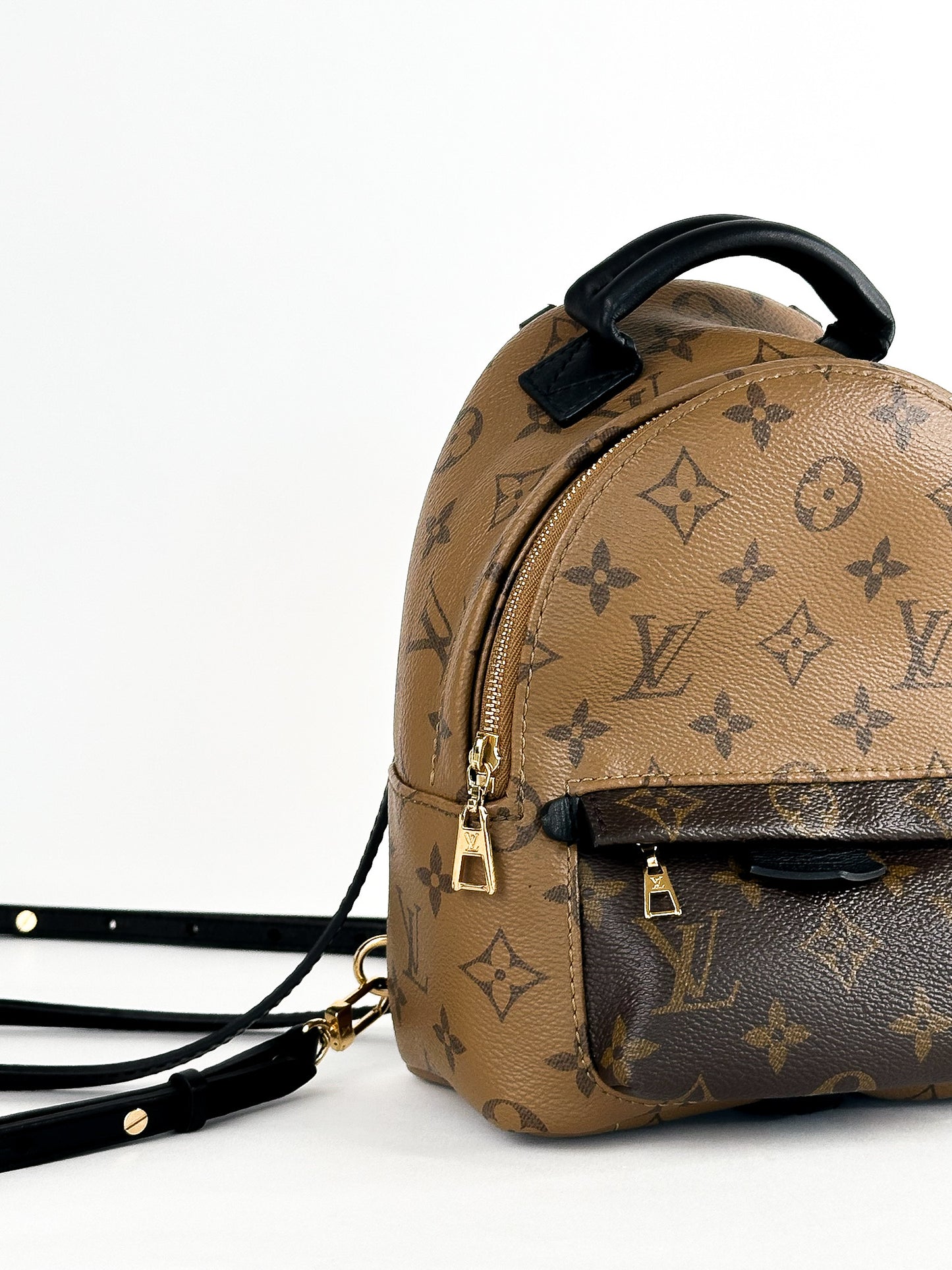 Louis Vuitton Palm Springs Mini Reverse Monogram