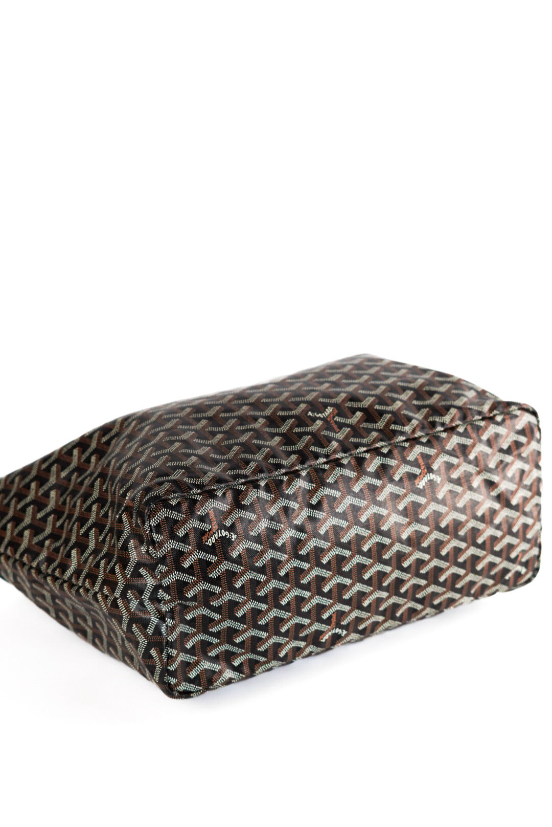 Goyard Goyardine Saint Louis PM Black