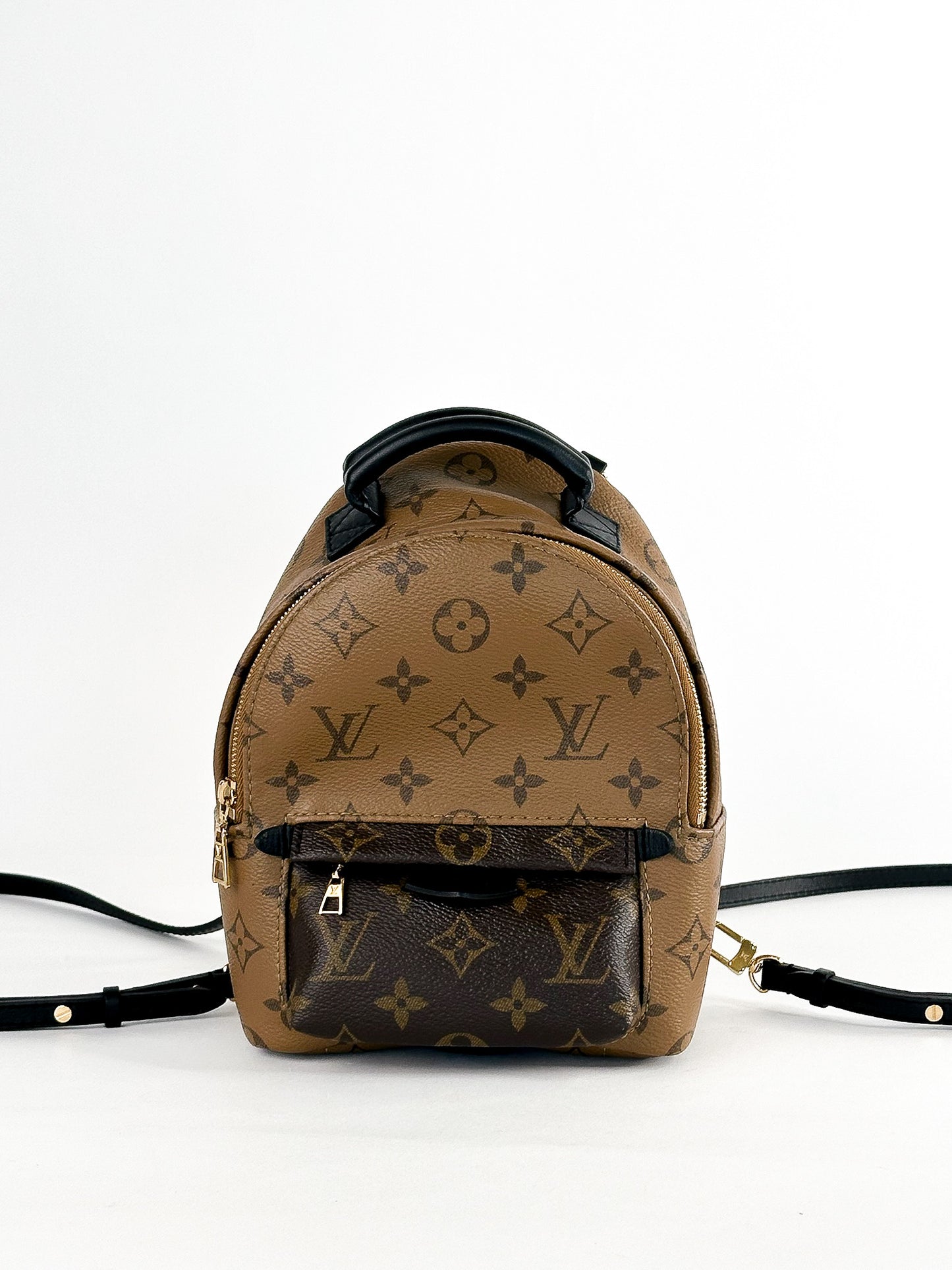 Louis Vuitton Palm Springs Mini Reverse Monogram