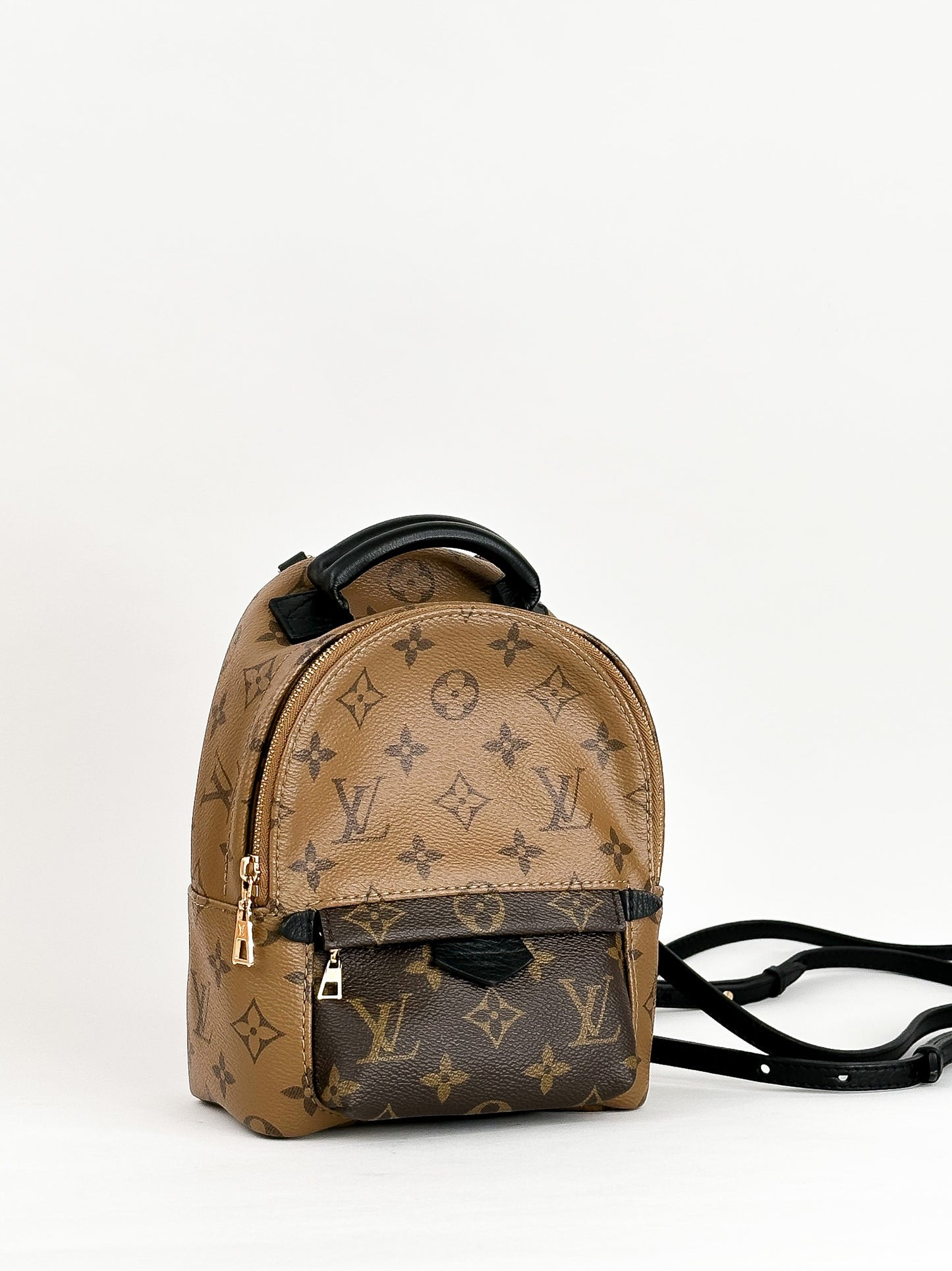 Louis Vuitton Palm Springs Mini Reverse Monogram
