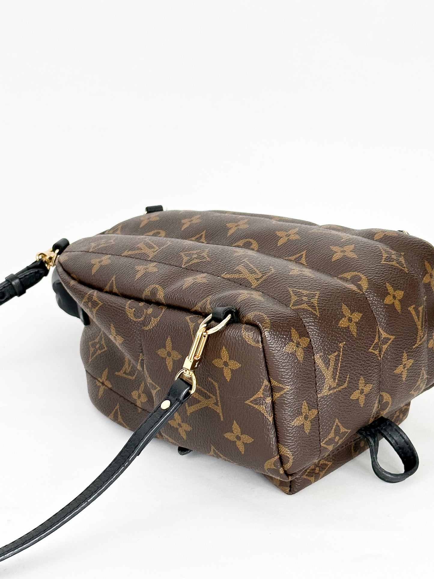 Louis Vuitton Palm Springs Mini Monogram