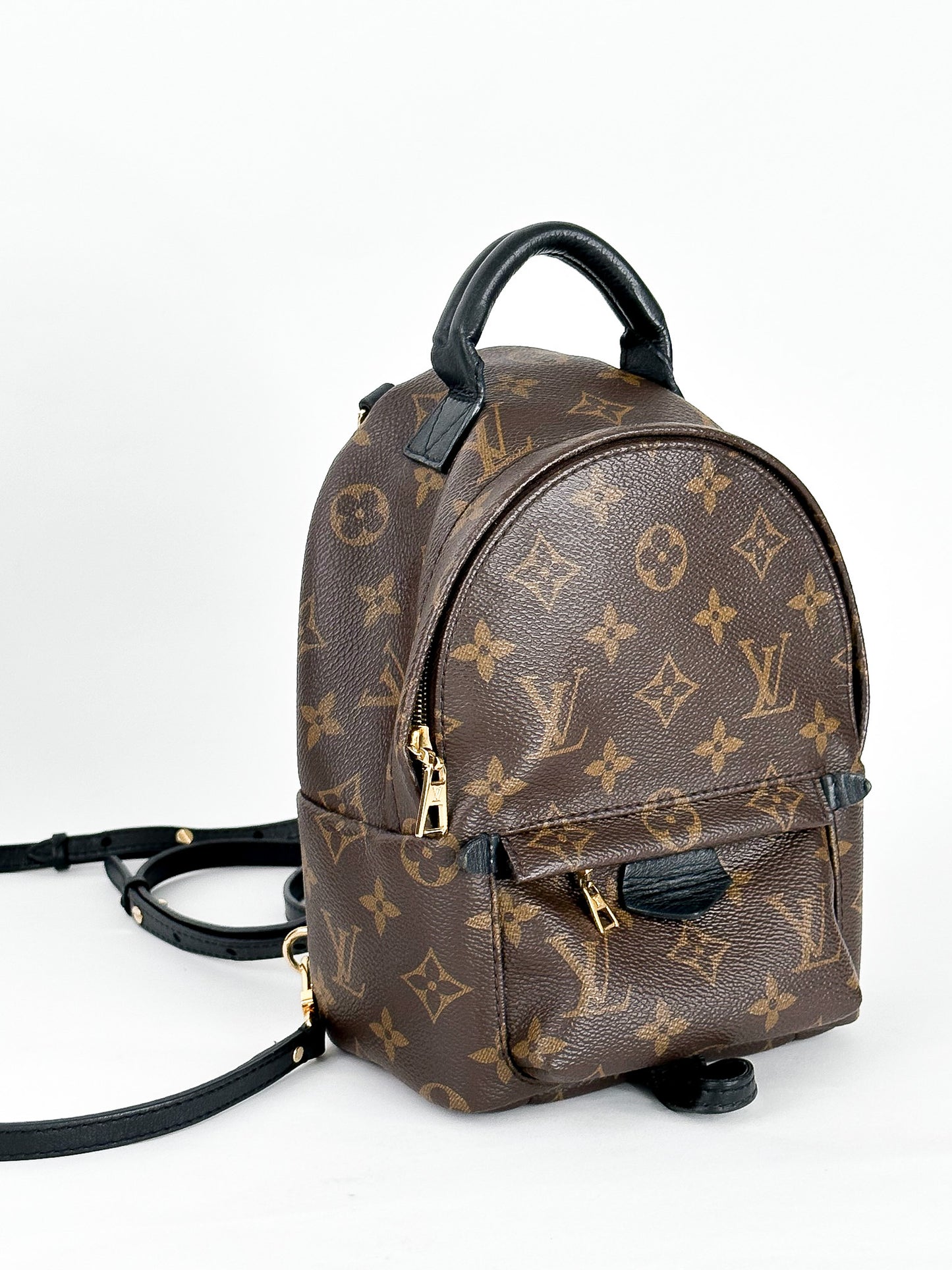 Louis Vuitton Palm Springs Mini Monogram