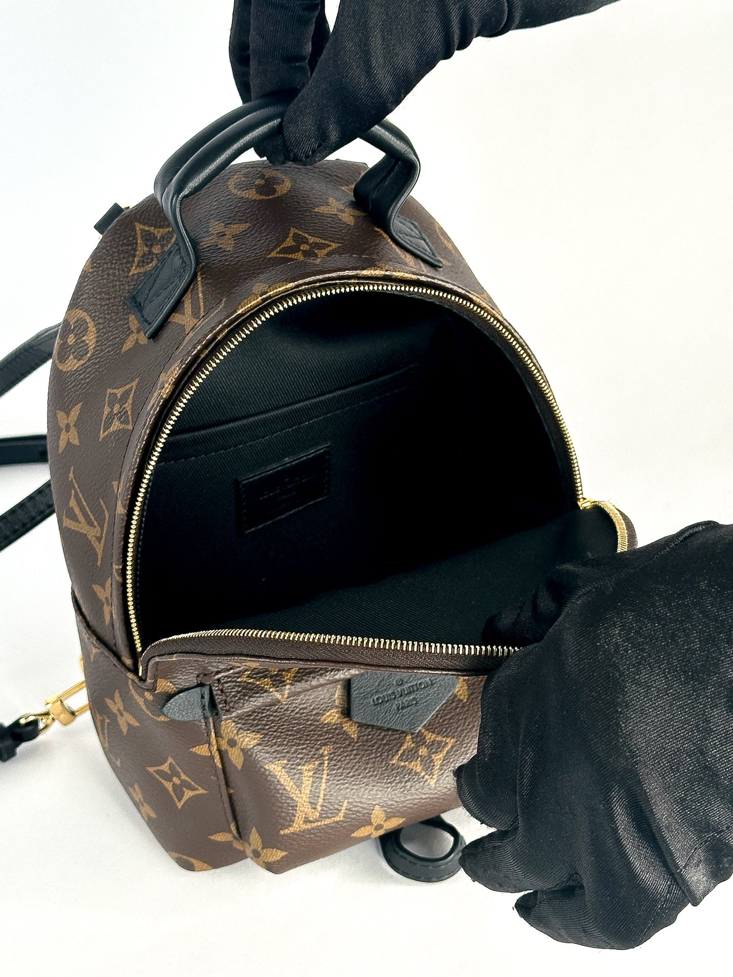 Louis Vuitton Palm Springs Mini Monogram