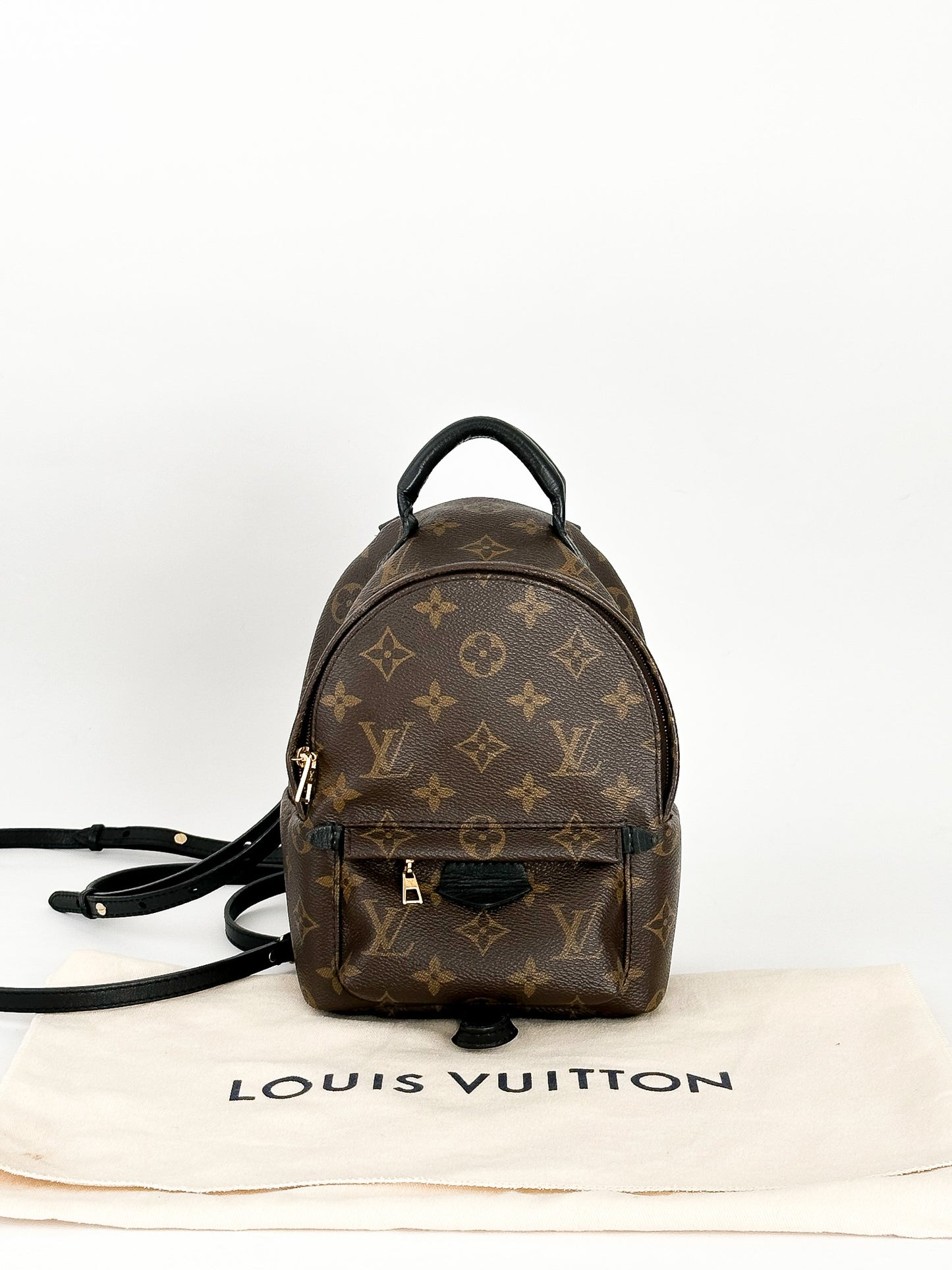 Louis Vuitton Palm Springs Mini Monogram