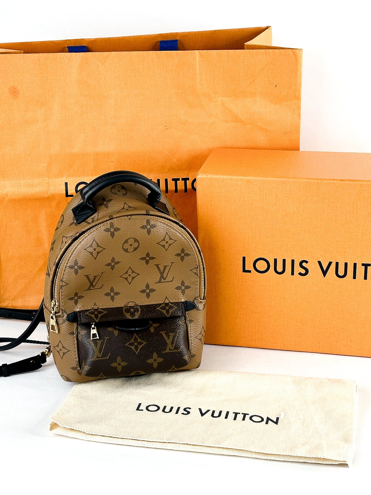 Louis Vuitton Palm Springs Mini Reverse Monogram