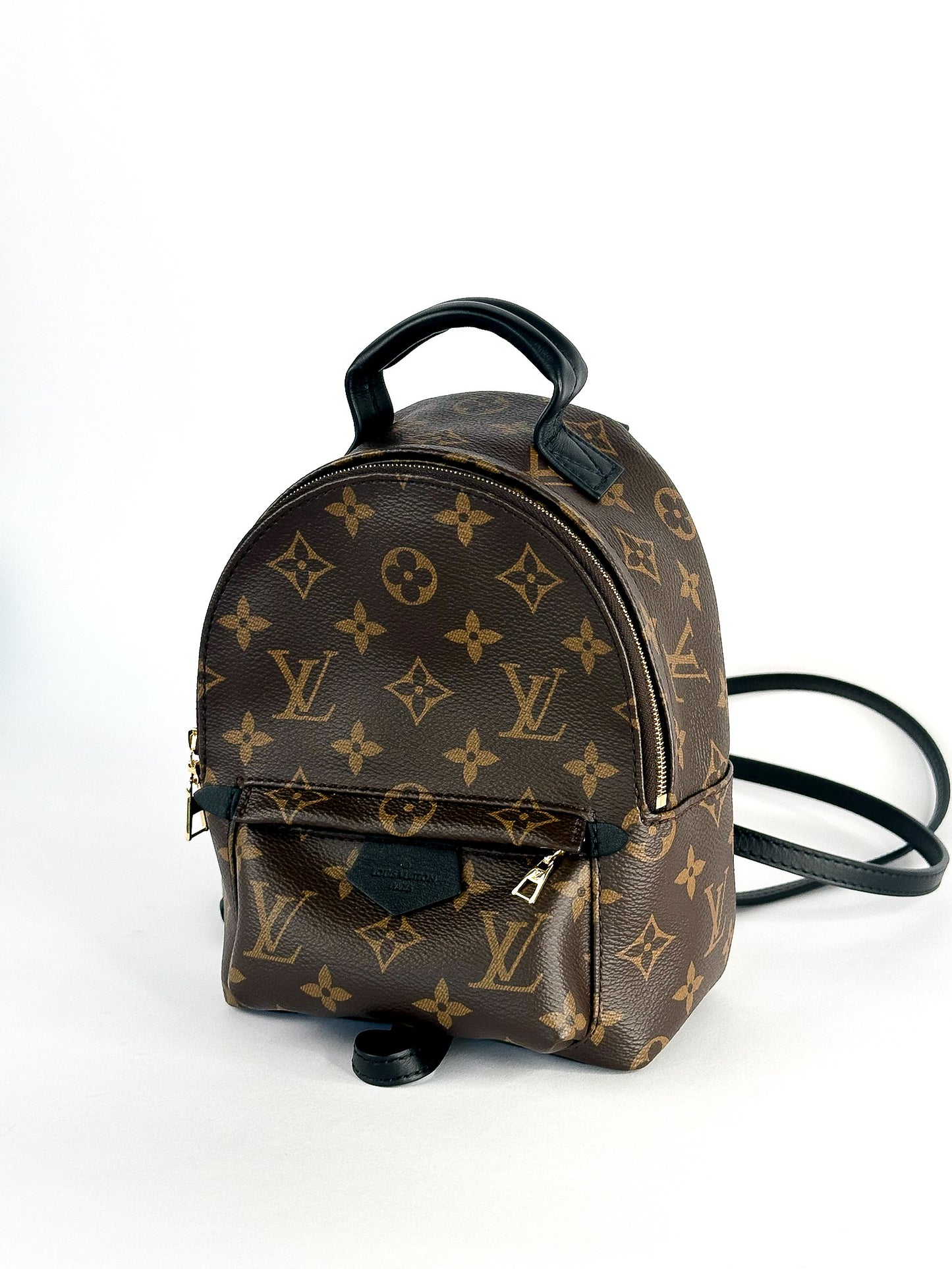 Louis Vuitton Palm Springs Mini Monogram