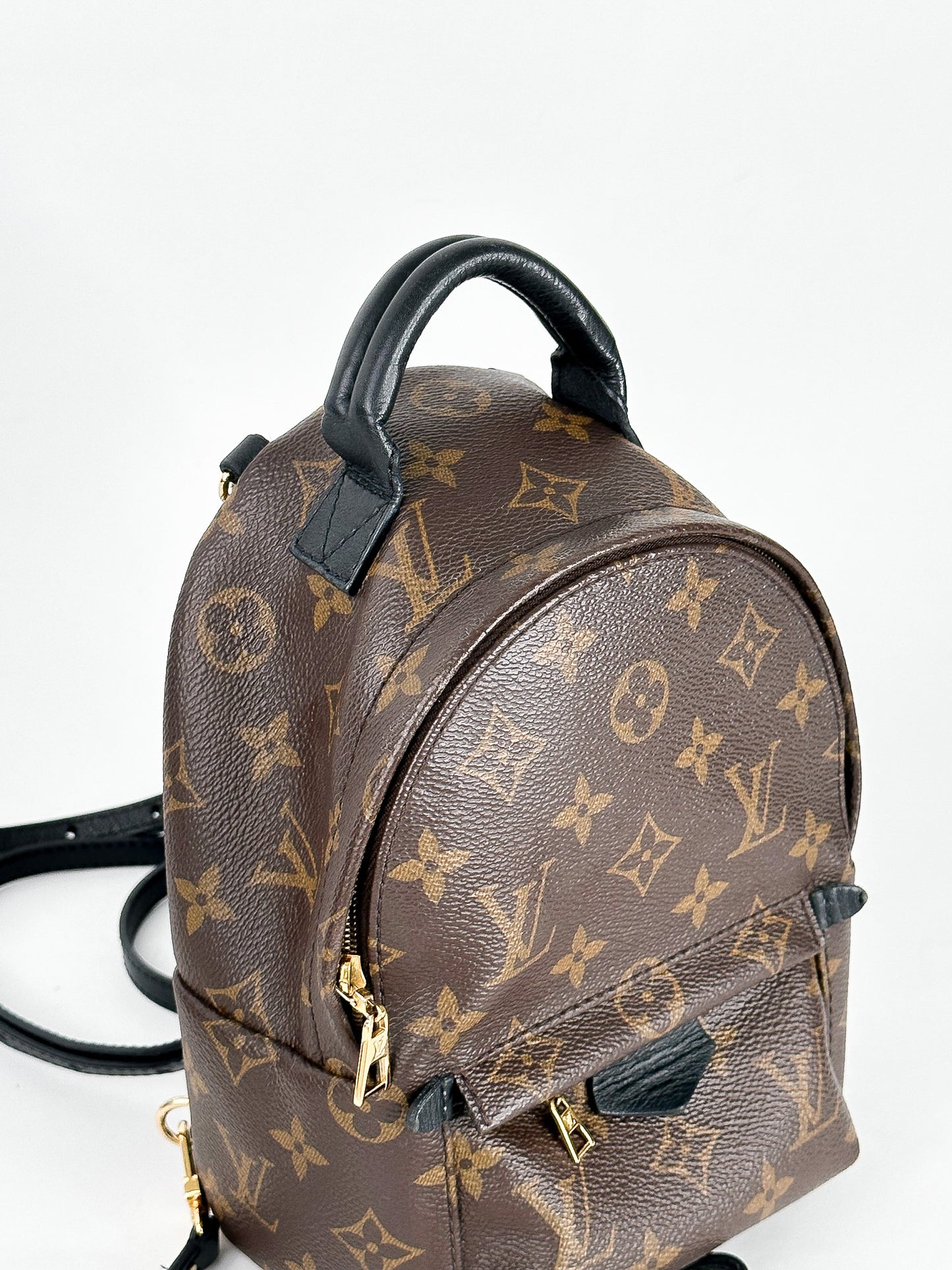 Louis Vuitton Palm Springs Mini Monogram