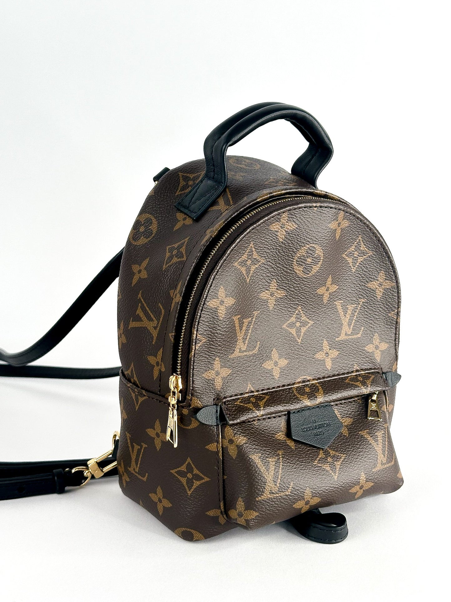 Louis Vuitton Palm Springs Mini Monogram