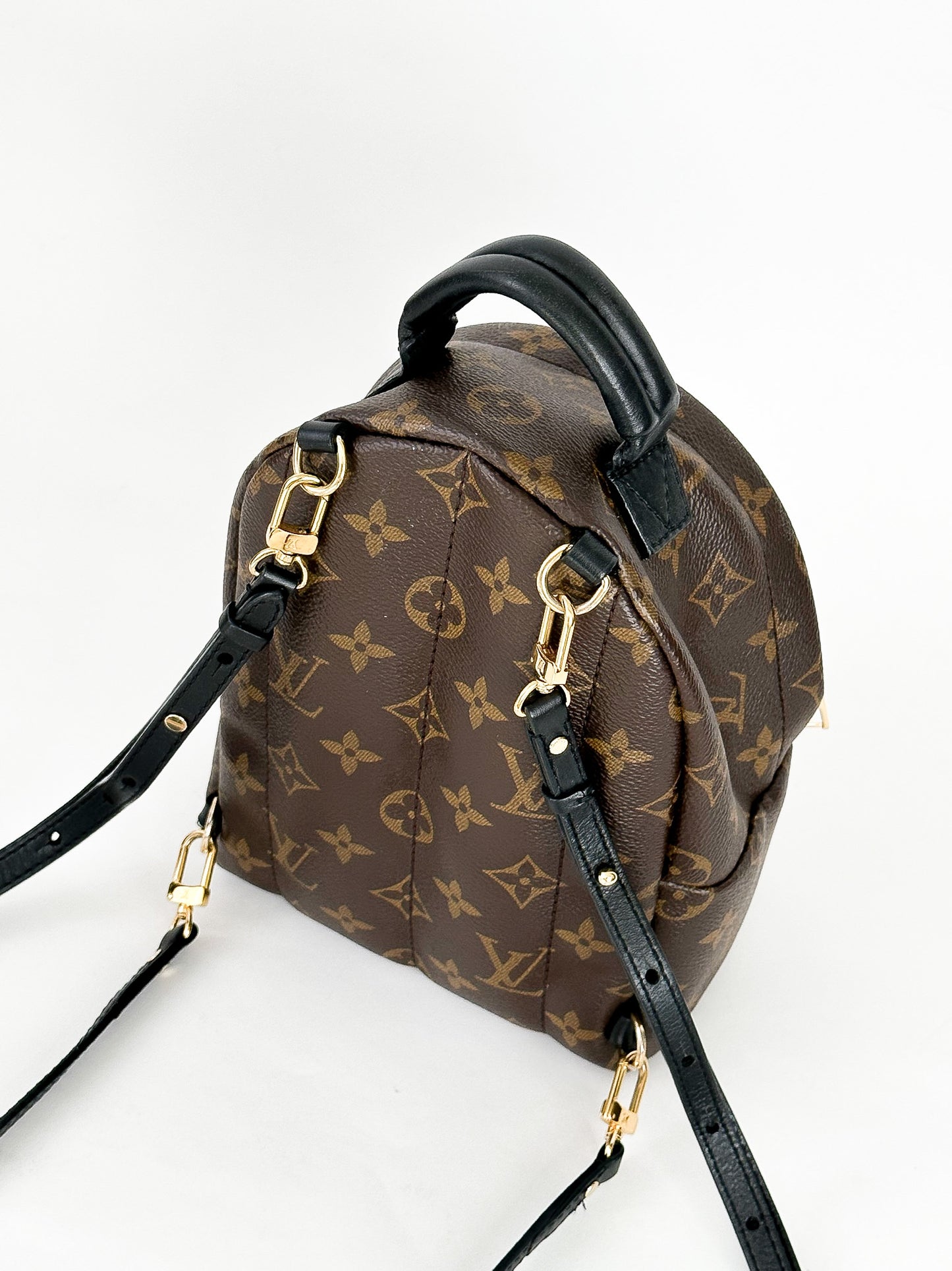Louis Vuitton Palm Springs Mini Monogram