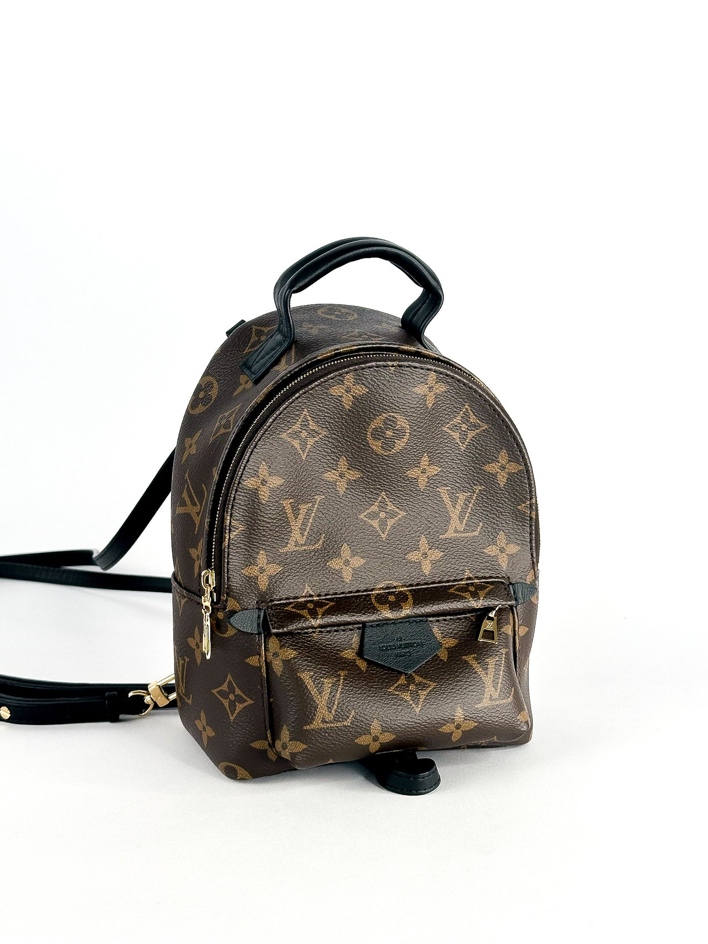 Louis Vuitton Palm Springs Mini Monogram
