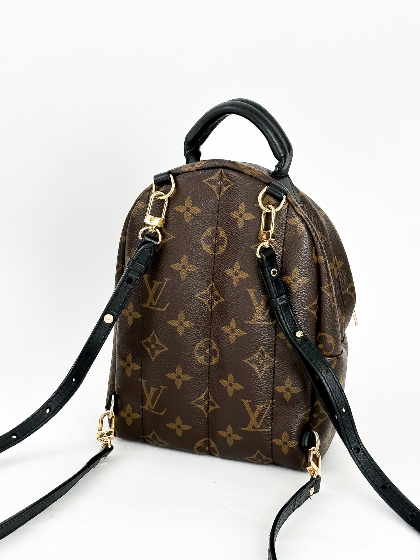 Louis Vuitton Palm Springs Mini Monogram