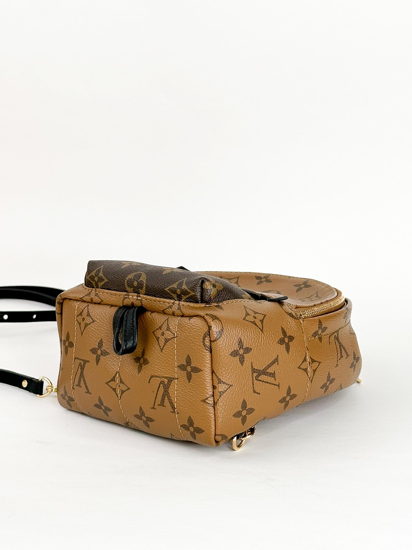 Louis Vuitton Palm Springs Mini Reverse Monogram