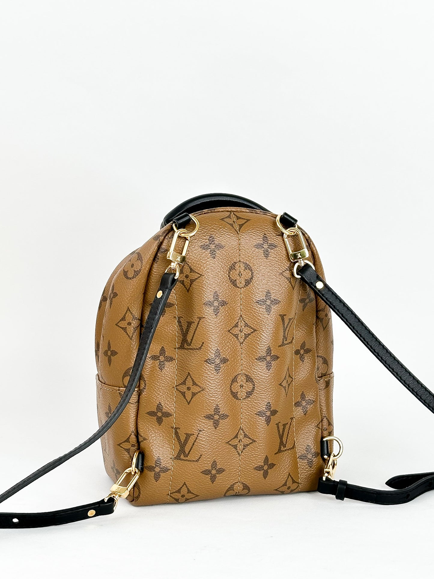 Louis Vuitton Palm Springs Mini Reverse Monogram