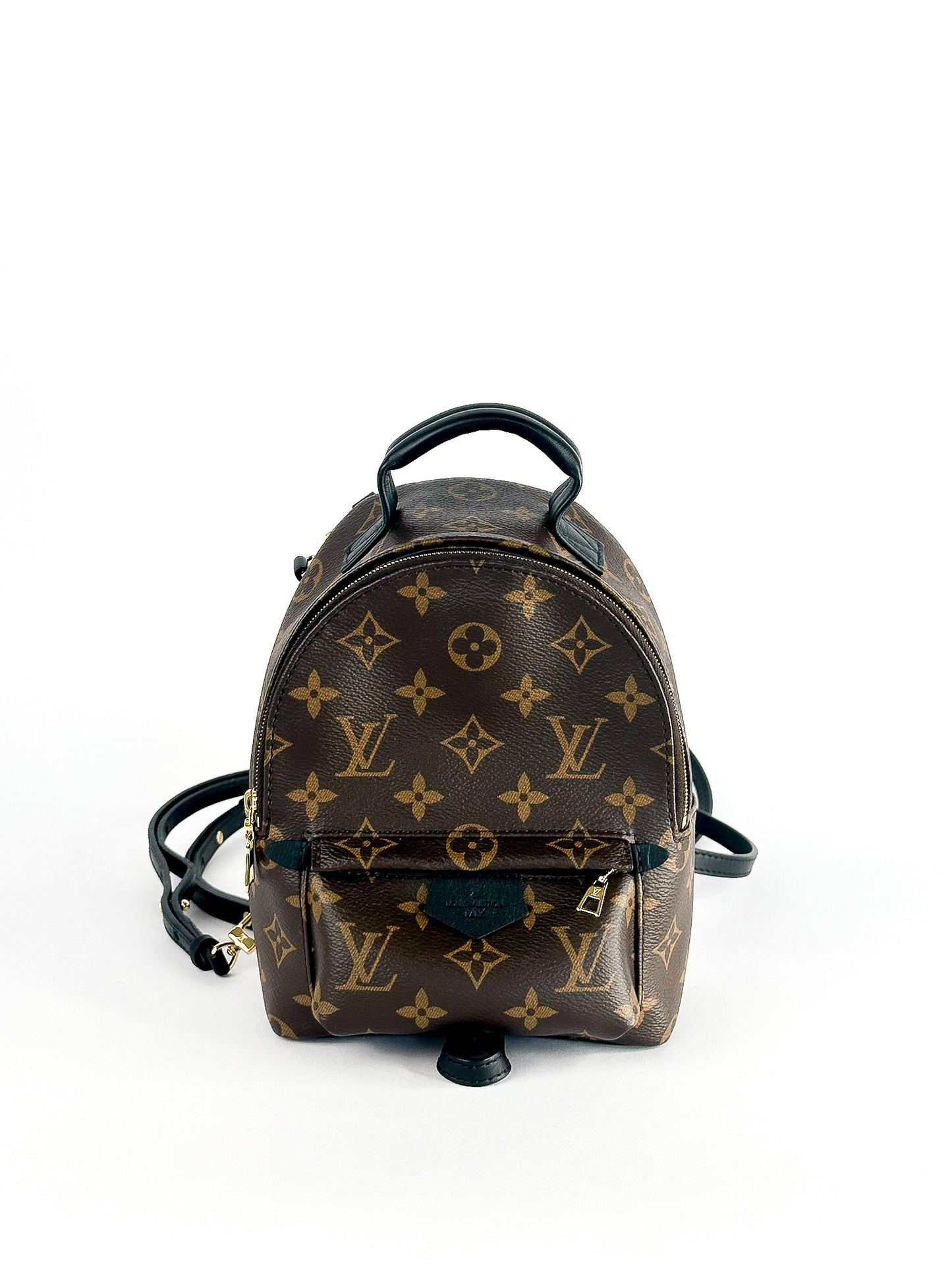 Louis Vuitton Palm Springs Mini Monogram