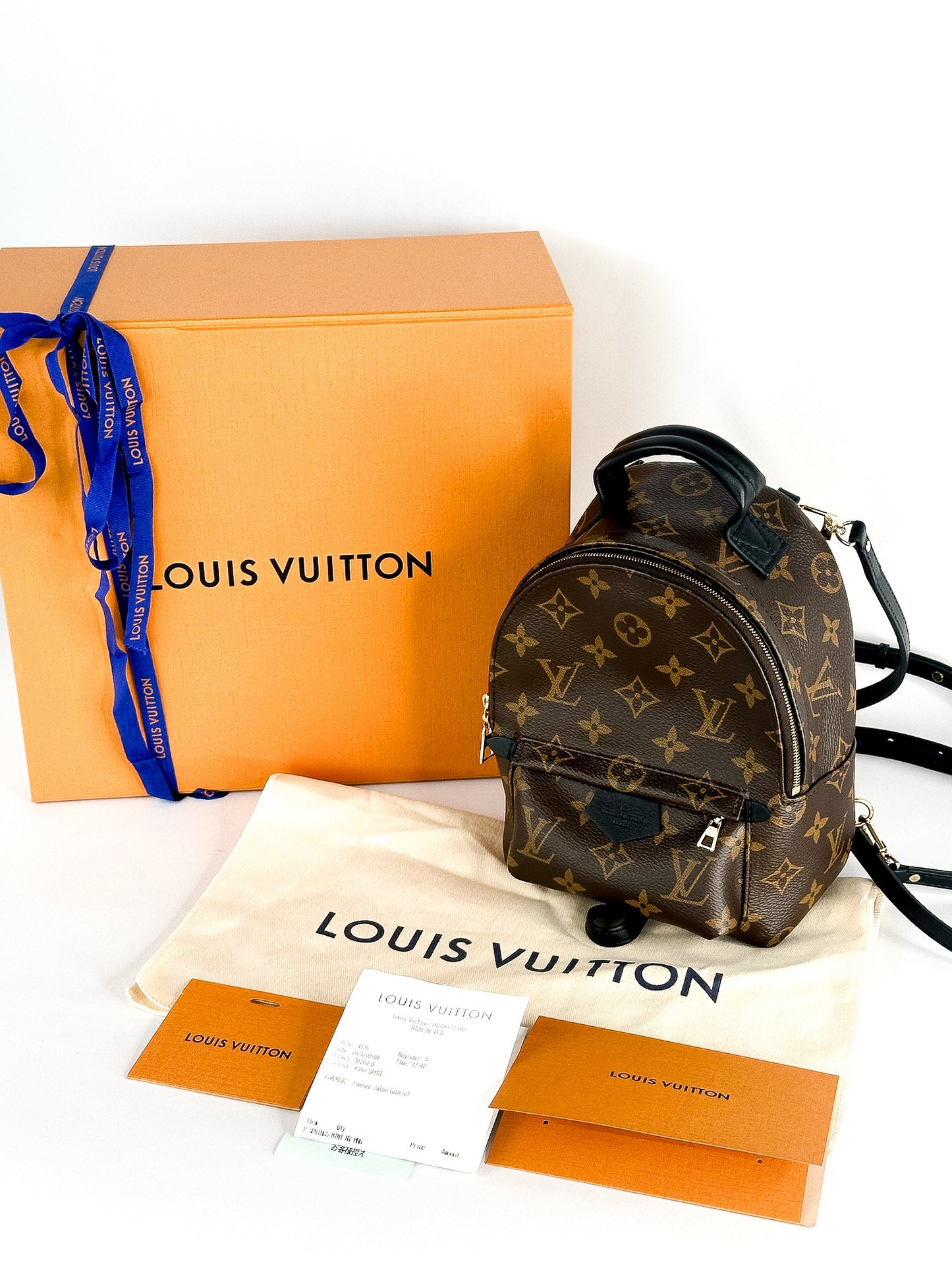 Louis Vuitton Palm Springs Mini Monogram
