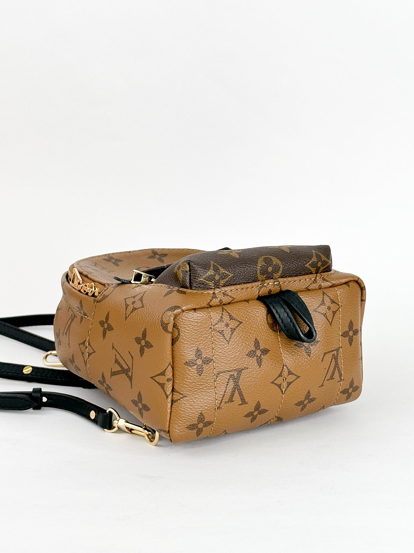 Louis Vuitton Palm Springs Mini Reverse Monogram