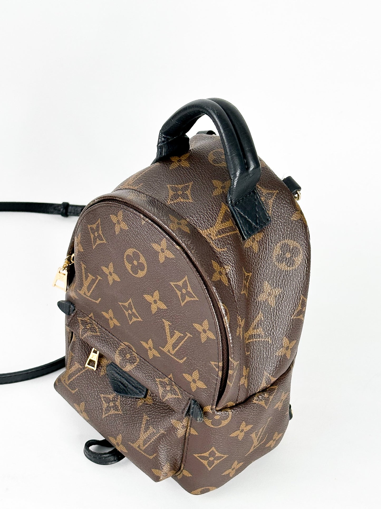 Louis Vuitton Palm Springs Mini Monogram