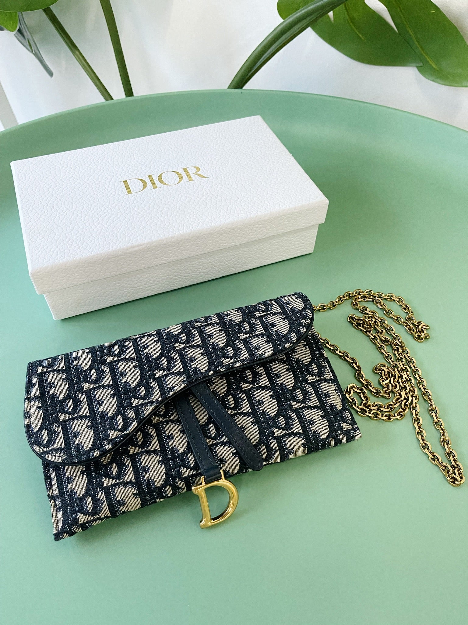 Long Dior Money Bag LONG SADDLE WALLET WITH CHAIN Blue
