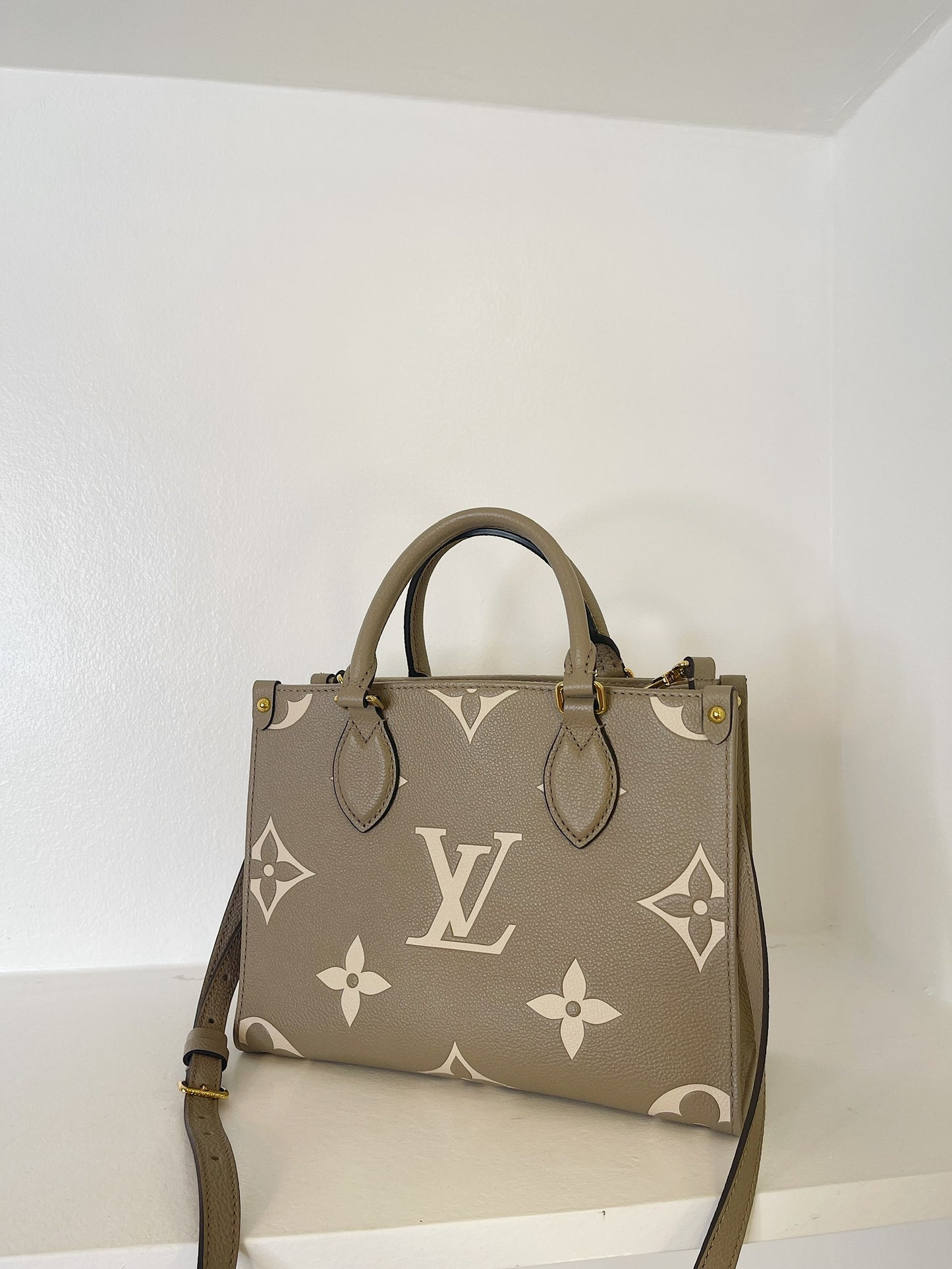 Louis Vuitton ONTHEGO PM